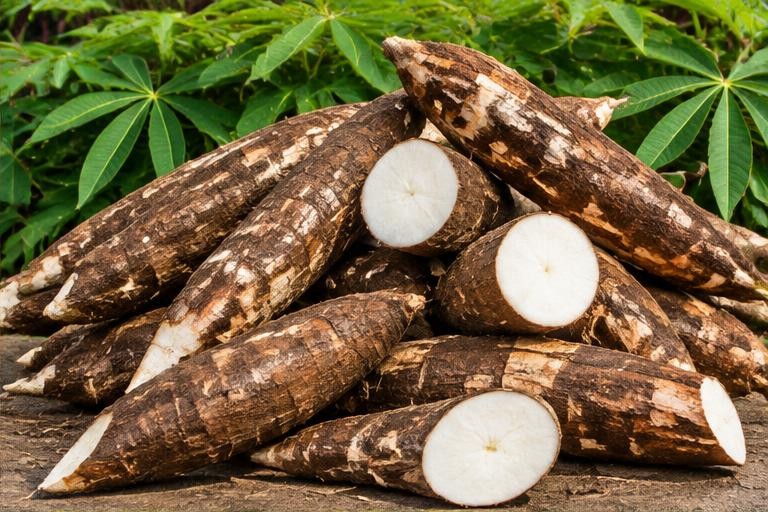Farm-fresh Cassava from Kumasi, Ashanti, Ghana — sample produce listing